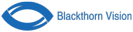 Украинская аутсорсинговая компания Вlackthorn Vision